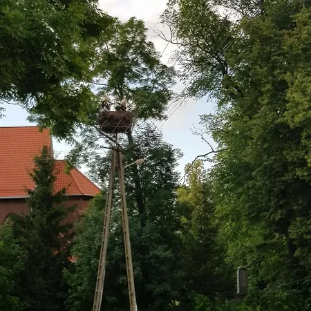 Wiejska Sielanka * Ryn (Warmian-Masurian)