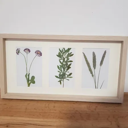 度假居 Wiejska Sielanka *